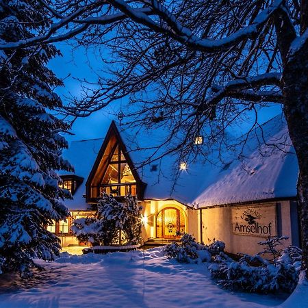 Landhaus Amselhof Hinterzarten Bagian luar foto