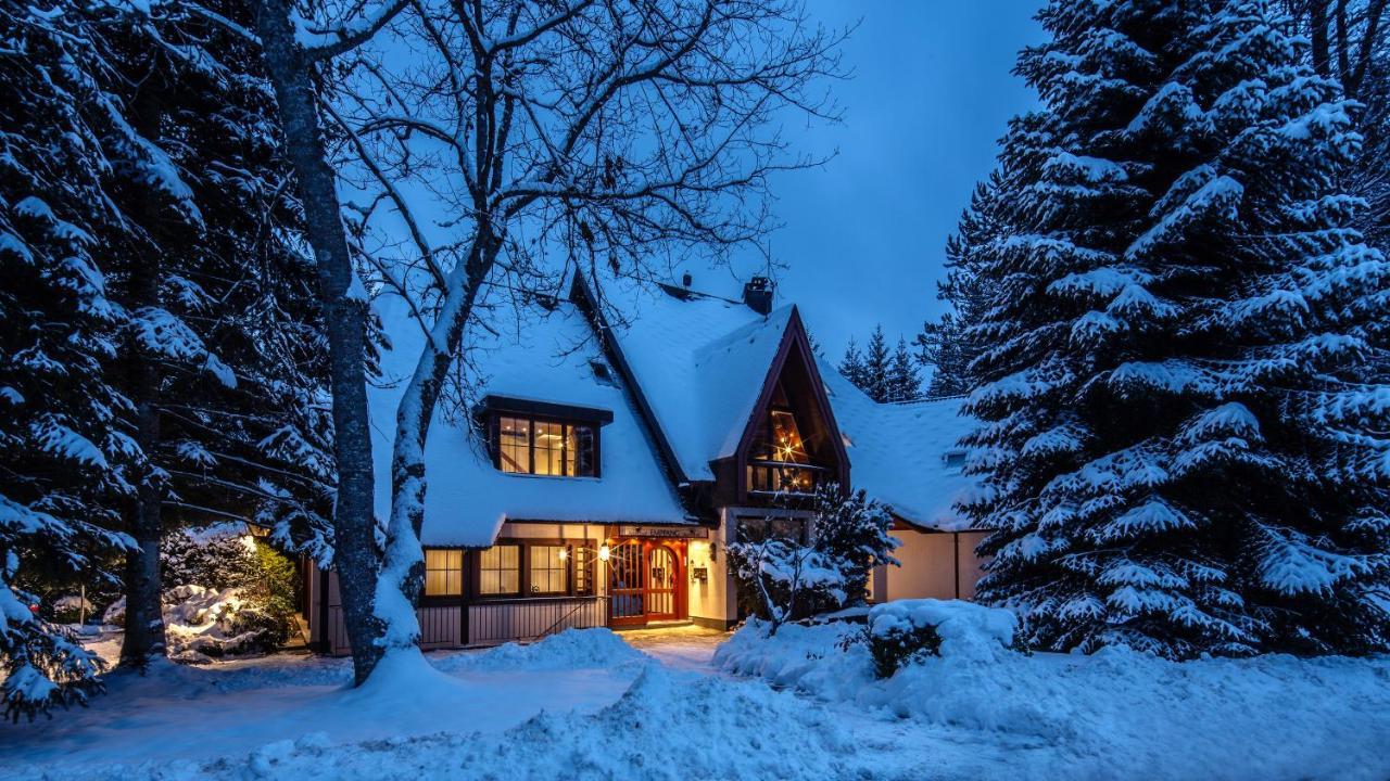 Landhaus Amselhof Hinterzarten Bagian luar foto