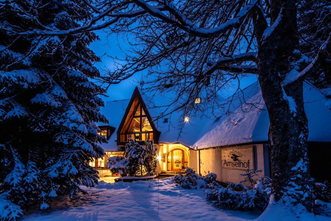 Landhaus Amselhof Hinterzarten Bagian luar foto